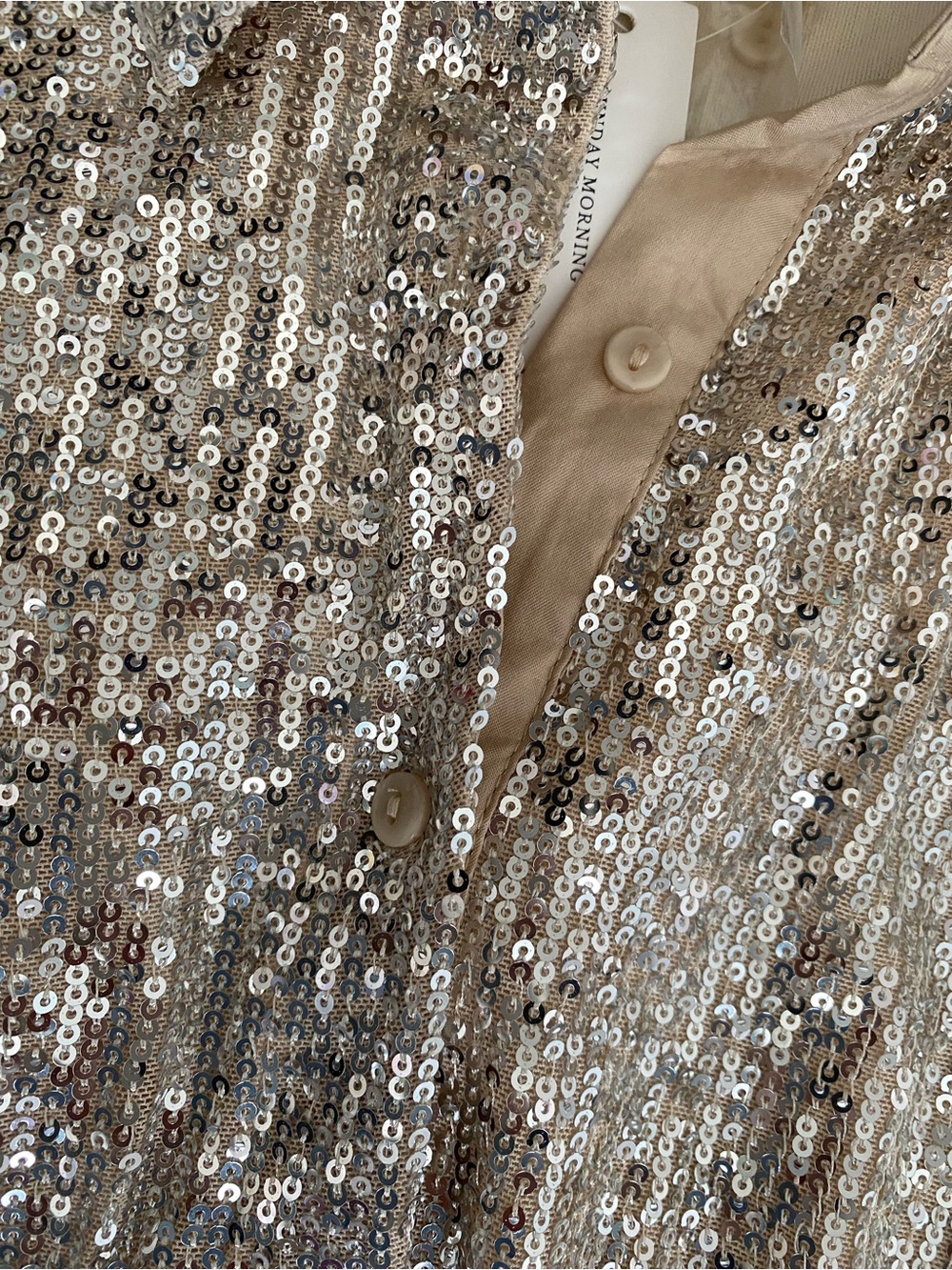 Style Rack Silver Sequin Mini Dress - Picture 2 of 10